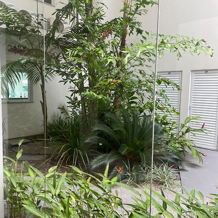 고베르나도르 셀소 하모스 Lindo Apartamento Praia De Palmas 아파트 외부 사진